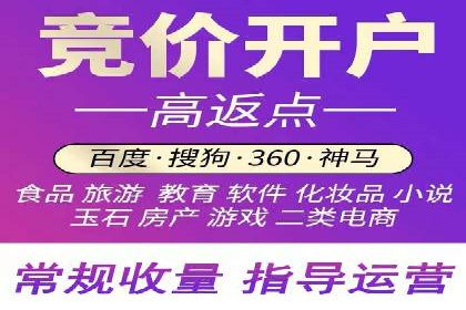 网络营销实战：成功竞价推广案例分析